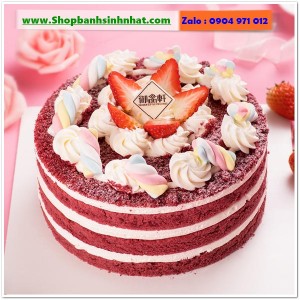 Bánh Sinh Nhật Tiramisu - T357